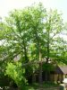 PICT0014.JPG