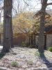 Spring_007.jpg